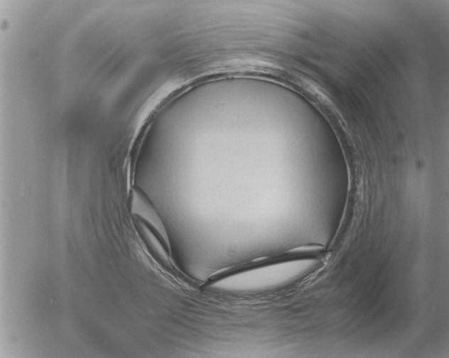 X0000053091275200508012023