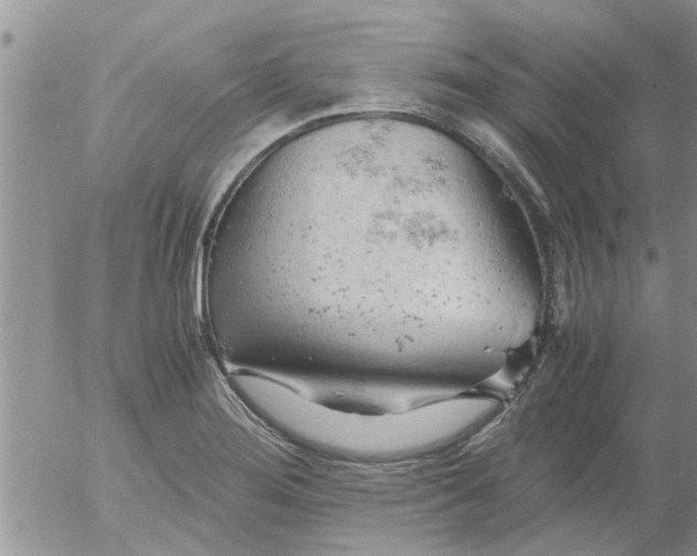 X0000053091276200508012023