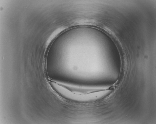 X0000053091277200508012023