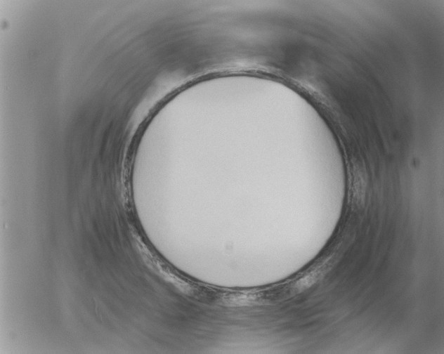 X0000053091278200508012023