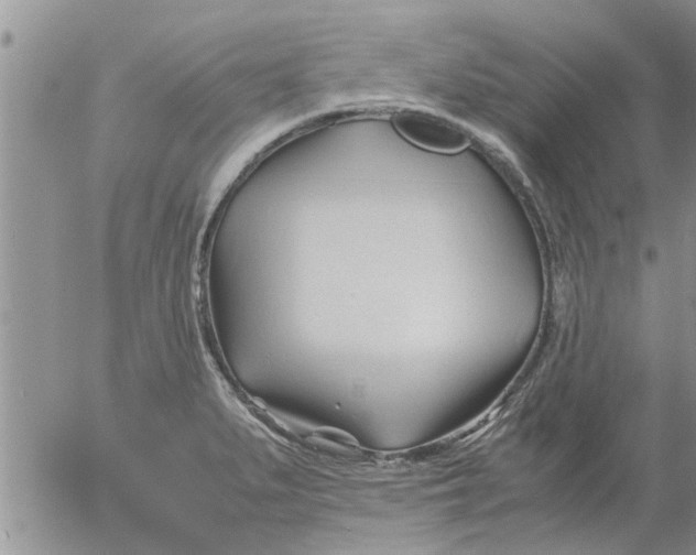 X0000053091279200508012023