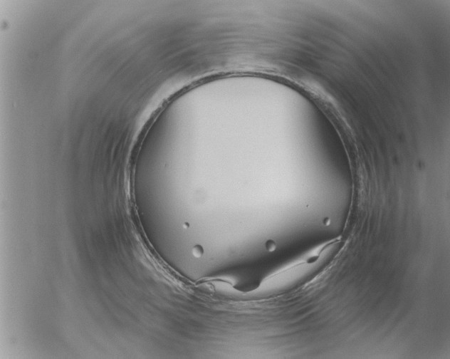 X0000053091280200508012023