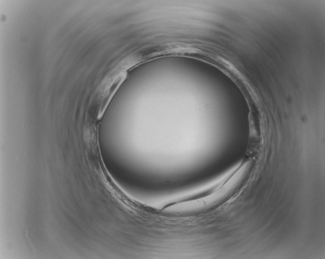 X0000053091281200508012023