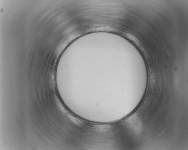 X0000053091282200508012023