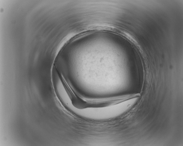 X0000053091283200508012023