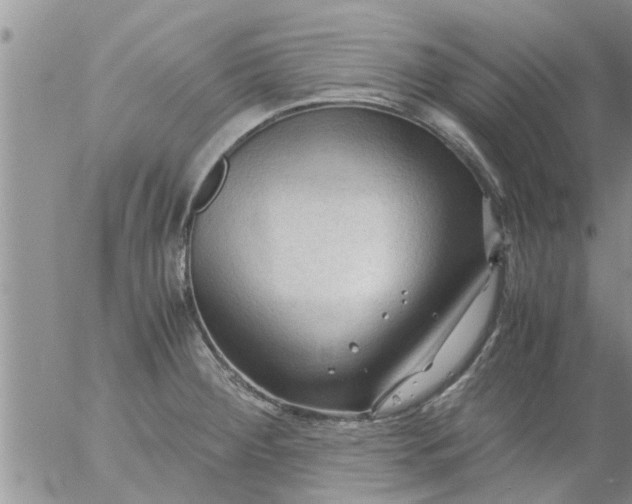 X0000053091284200508012023