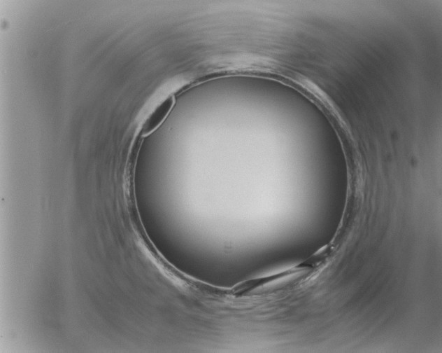 X0000053091285200508012023