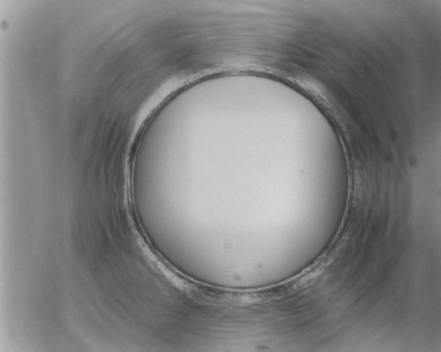 X0000053091286200508012023