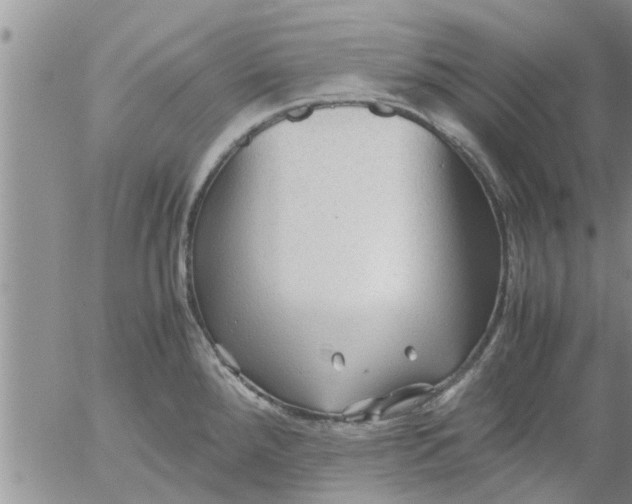 X0000053091288200508012023