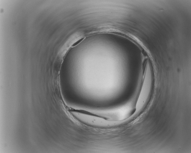 X0000053091289200508012023