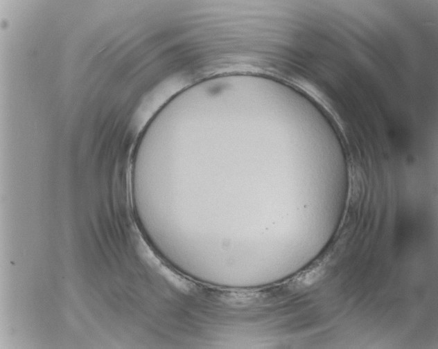 X0000053091290200508012023