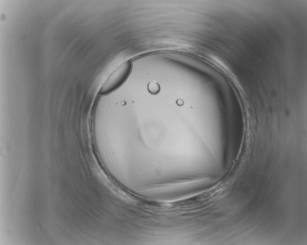 X0000053091291200508012022