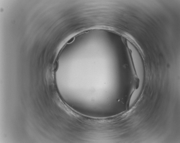 X0000053091292200508012022