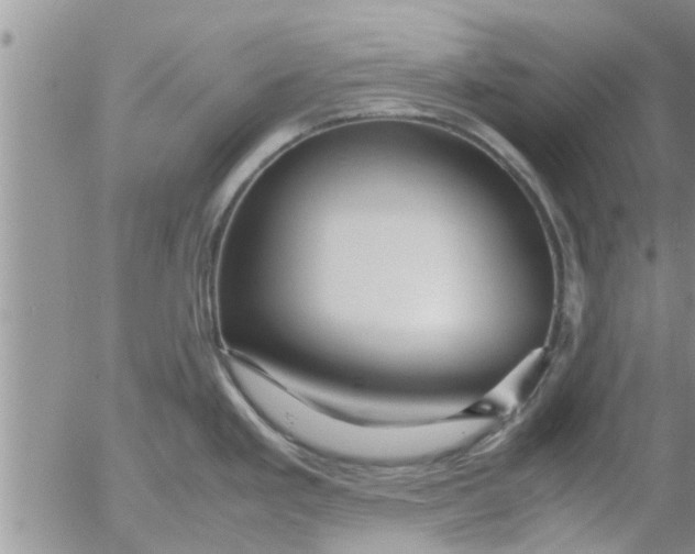 X0000053091293200508012022