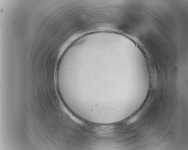 X0000053091294200508012022