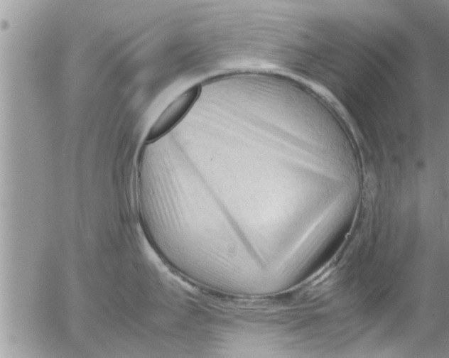 X0000053091295200508012022