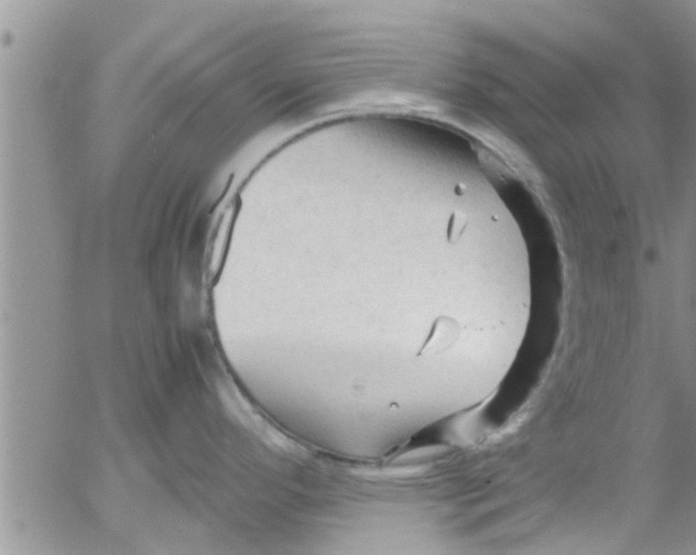 X0000053091296200508012022