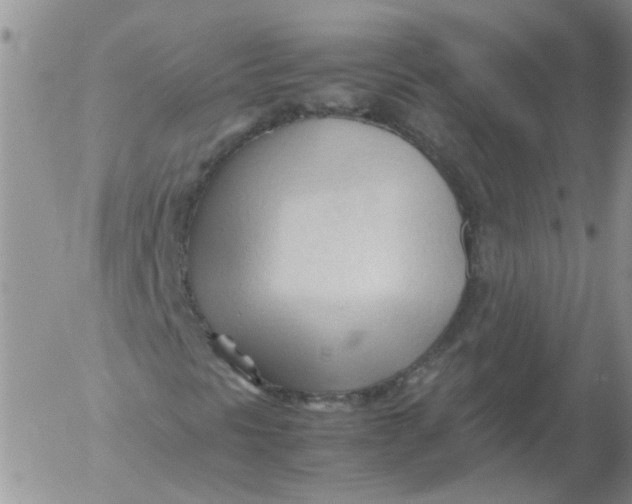 X0000053091297200508012022