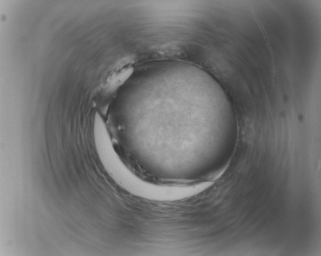 X0000053091298200508012022