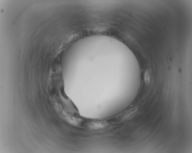 X0000053091299200508012022