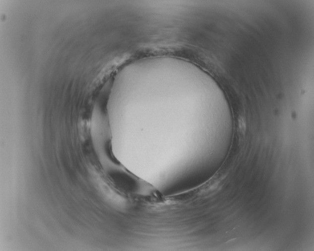 X0000053091300200508012022