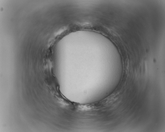 X0000053091301200508012022