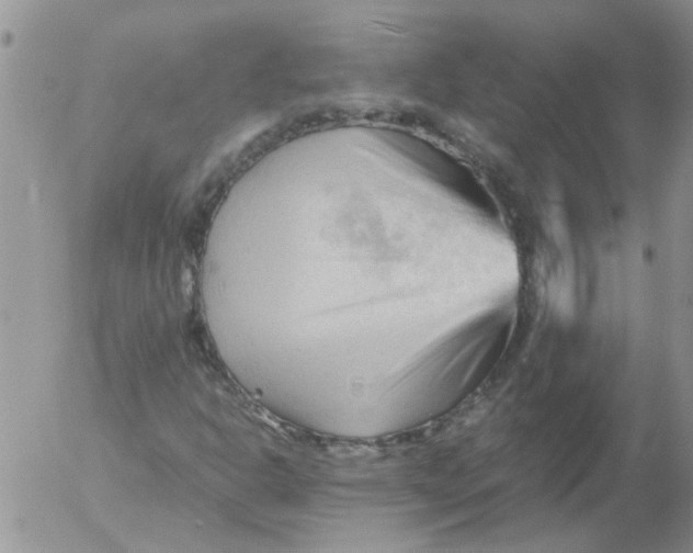 X0000053091302200508012022