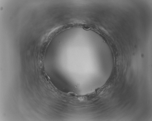 X0000053091303200508012022