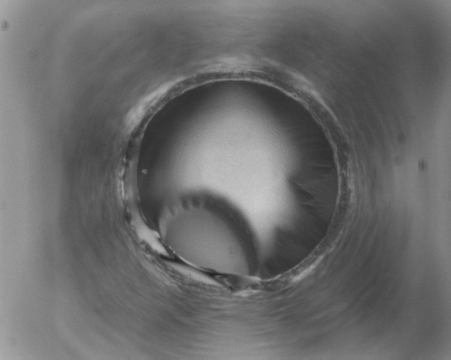 X0000053091304200508012022