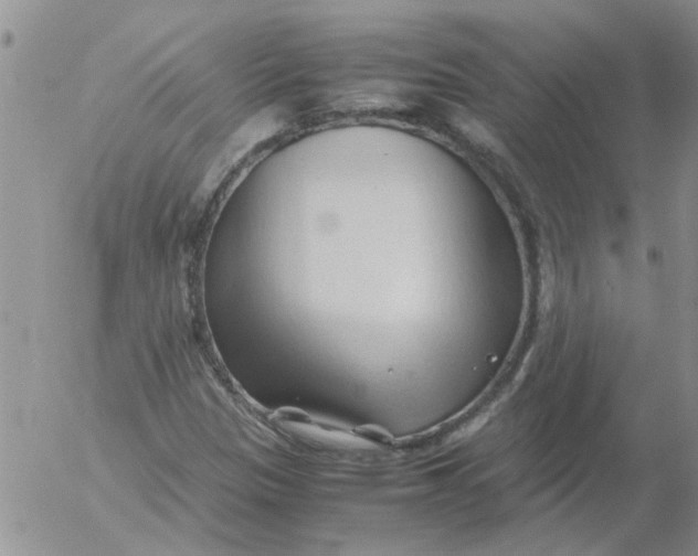 X0000053091305200508012022