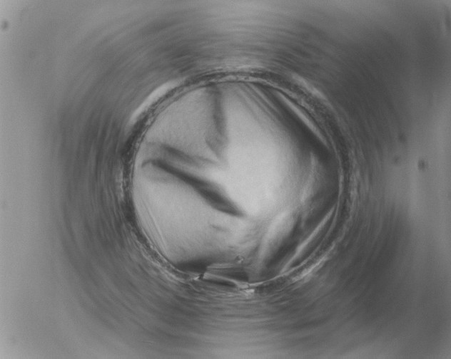 X0000053091306200508012022