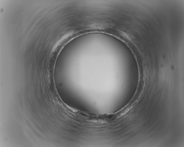 X0000053091307200508012022