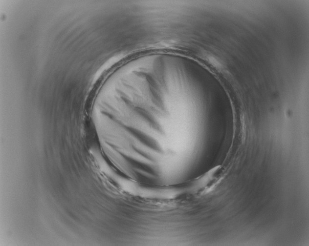 X0000053091308200508012022