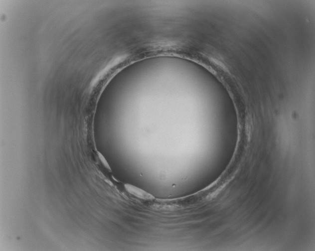 X0000053091309200508012022