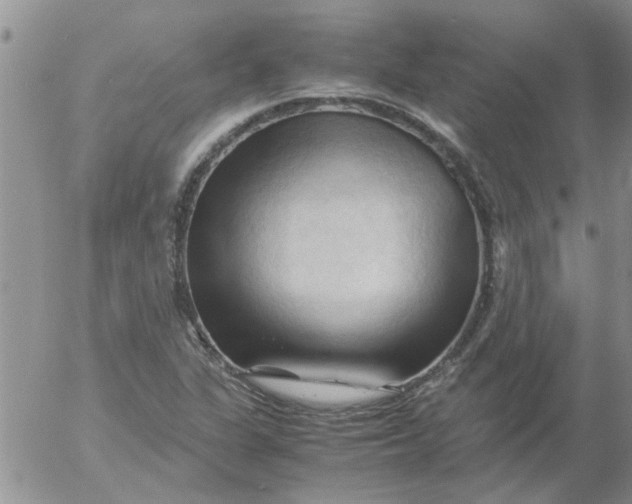 X0000053091311200508012022