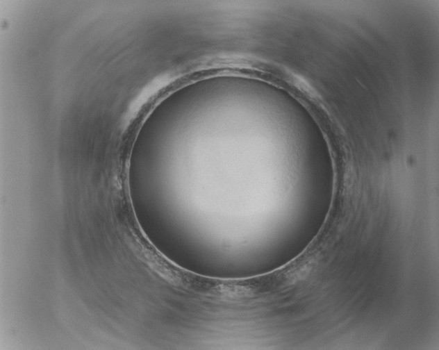 X0000053091312200508012022