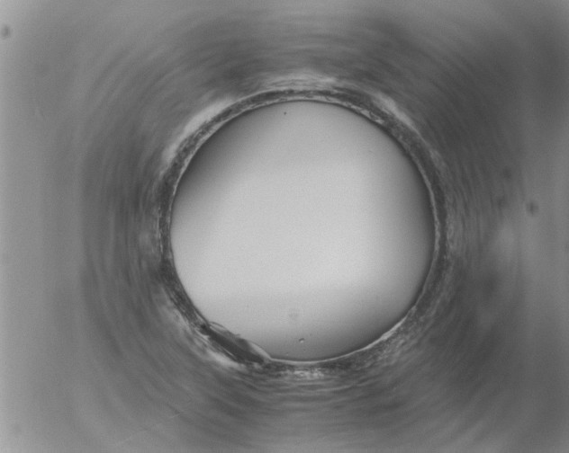 X0000053091315200508012022