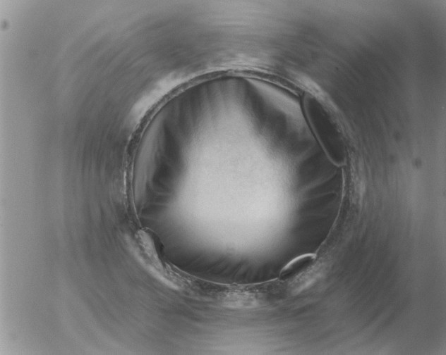 X0000053091316200508012022