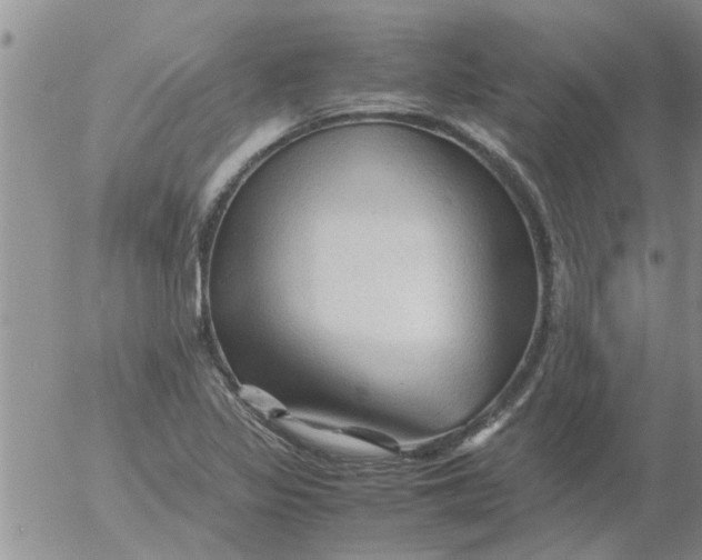 X0000053091317200508012022