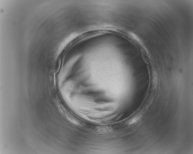 X0000053091320200508012022