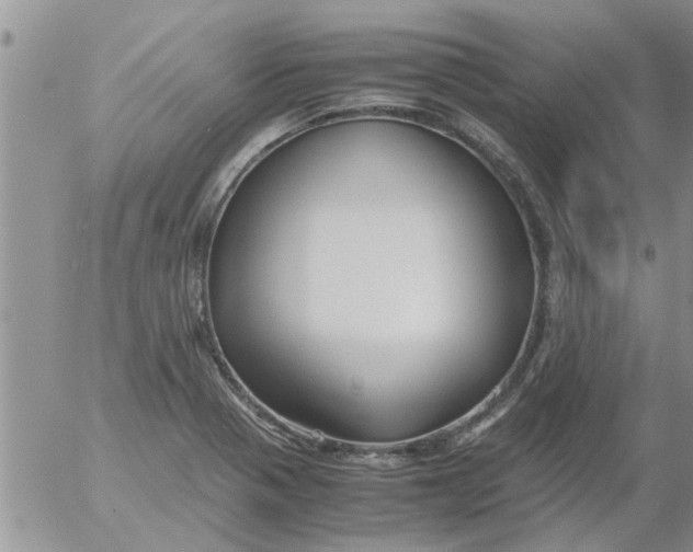 X0000053091321200508012022