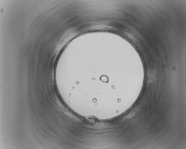 X0000053091322200508012022