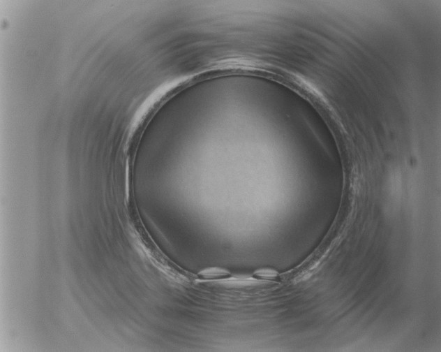 X0000053091323200508012022