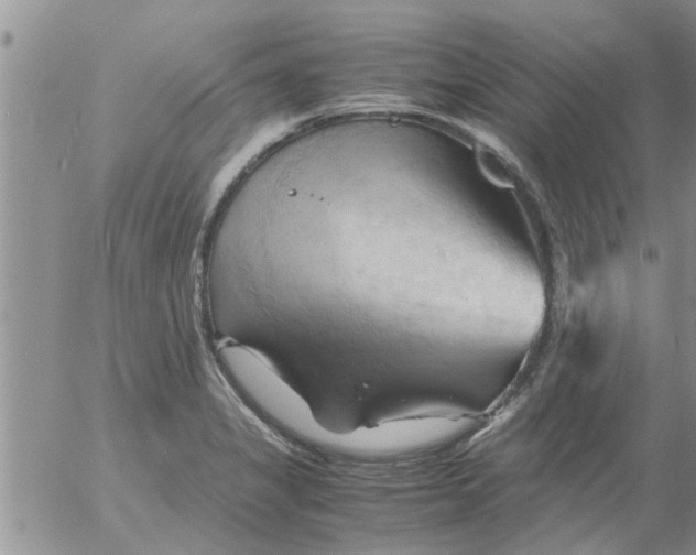 X0000053091325200508012022