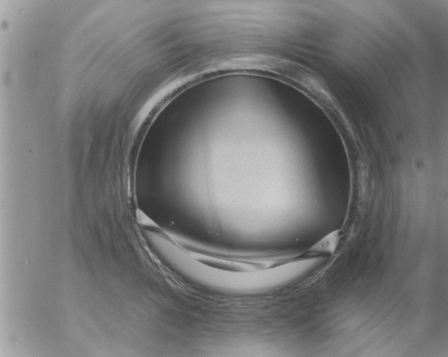 X0000053091328200508012022