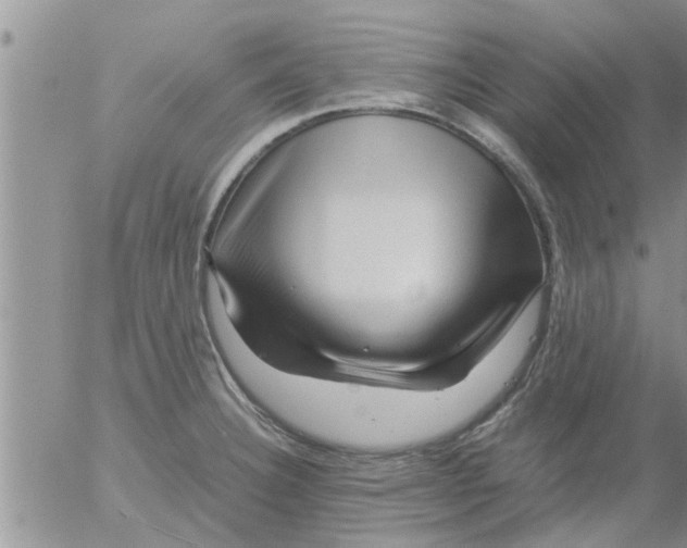 X0000053091332200508012022