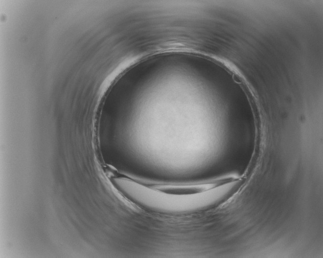 X0000053091333200508012022