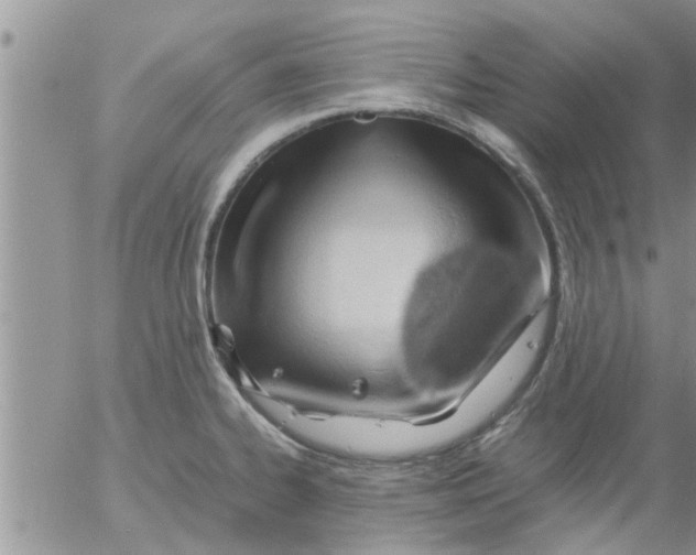 X0000053091334200508012022