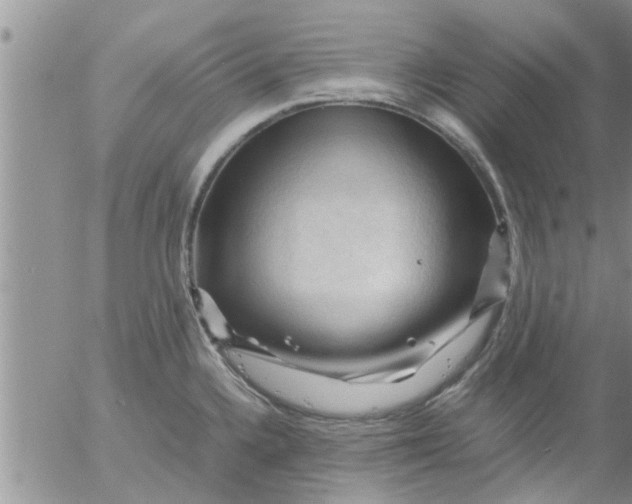 X0000053091336200508012022