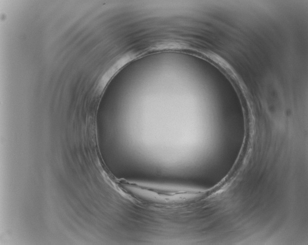 X0000053091337200508012022